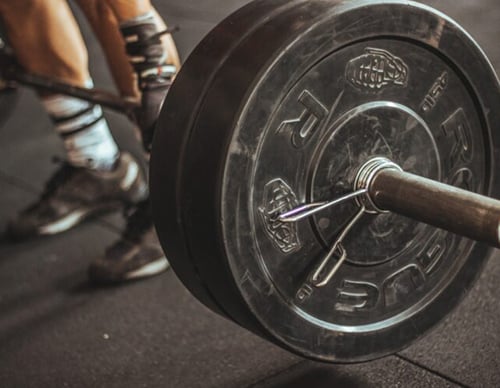 How To Workout In Gym Without Trainer 6