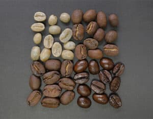 Which Coffee Roast Taste Better