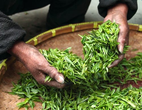 When To Drink Matcha Tea For Weight Loss 4