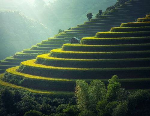 When To Drink Matcha Tea For Weight Loss 3