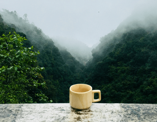 Effects Of Tea On Body 7