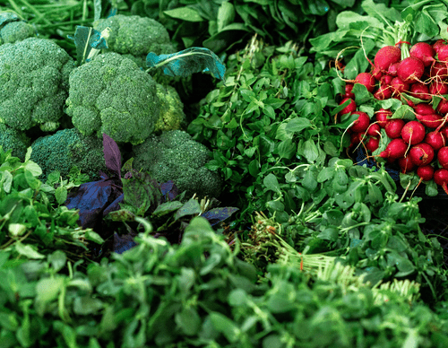 Best Vegan Calcium Sources 1